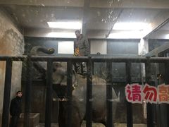 -无锡动物园·太湖欢乐园