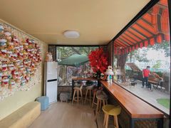 -柴犬高等学院·狗咖·柴犬售卖·宠物训练