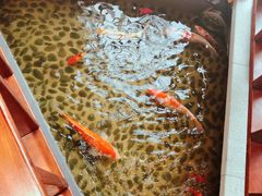 -尺山寸水日料(马桥满天星店)