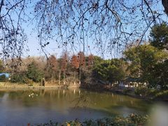 -太子山公园(园东路)