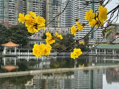 -荔湾湖公园