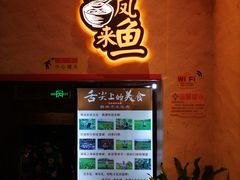 -新概念来凤鱼(璧山店)