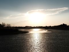 -宁波杭州湾国家湿地公园