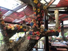 -卷心菜和避孕套餐厅(Pattaya)
