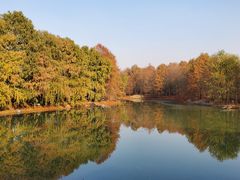 -上海海湾国家森林公园
