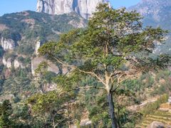 -雁荡山风景名胜区