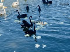 -水上乐园·欢乐世界