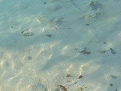 -白水台