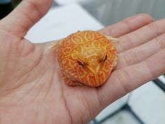 -万达广场(北京槐房店)