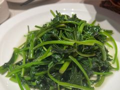 -鸽子侯·家宴·平价海鲜(绿地店)