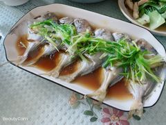 -鲸育宝宝月嫂(徐汇店)