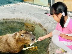 -廊坊固安福朋喜来登酒店