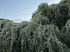 -府河摄影公园