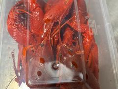-囍榷·鲜美常州菜(恐龙园店)