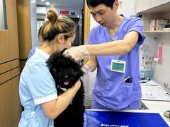 -博特宠物医院24h犬猫全科.骨科·异宠