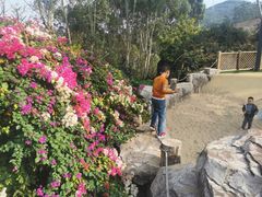 -厦门艾美酒店·乐美中餐厅