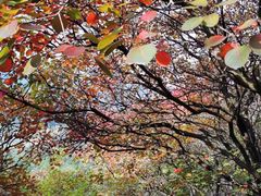 -青州市云门山风景区