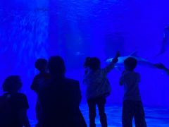 -多彩贵州城极地海洋世界