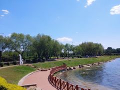 -丁香湖公园