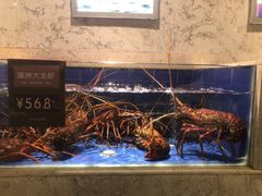 -徐记海鲜(陕西历史博物馆|明德门店)
