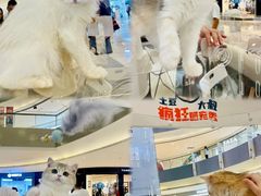-宝龙城(杭州滨江店)
