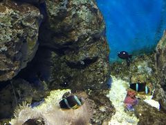 -福州罗源湾海洋世界旅游区