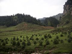 -芦芽山旅游度假区