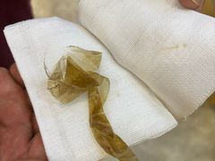 -美联众合动物医院·24h转诊中心