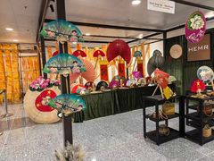 -河内内排国际机场