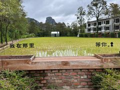 -明仕田园