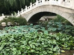 -丰台科技园生态主题公园