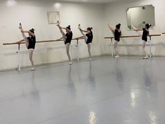 -西安小天鹅艺术团(金花路校区)