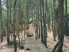 -火炉山森林公园
