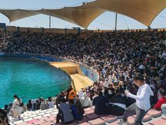 -秦皇岛乐岛海洋王国