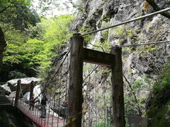 -牛背梁国家森林公园