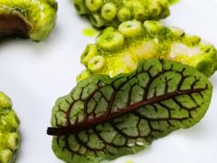 芥末青酱八爪鱼-CHIC1699远洋私厨