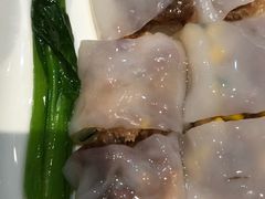 -南枝记