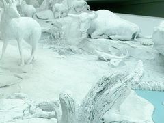 -中国湿地博物馆