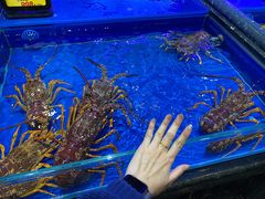 -万宝海鲜舫(劳动公园店)