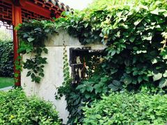 -亮马河饭店翠雅咖啡厅