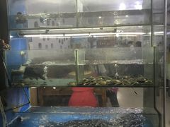 -浔味·山屿湖·正宗淳牌全鱼宴老字号