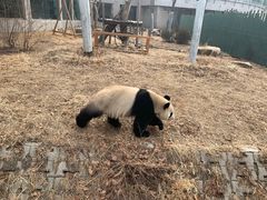 -沈阳森林动物园