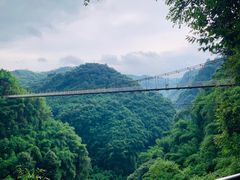 -川西竹海景区