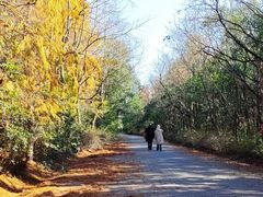 -上海海湾国家森林公园