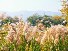 -颐和园