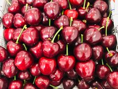 -江杨农产品批发市场