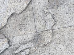 -芒洲湿地公园