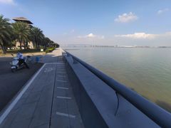 -大湾区中央湿地公园