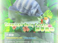 -重庆欢乐海底世界