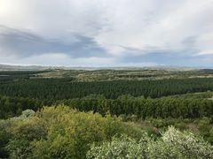 -塞罕坝国家级自然保护区